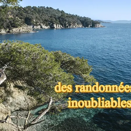 Superbe 5 Etoiles Presqu'ile De Giens La Madrague Rita La D'or Vue Piscine * Hyères